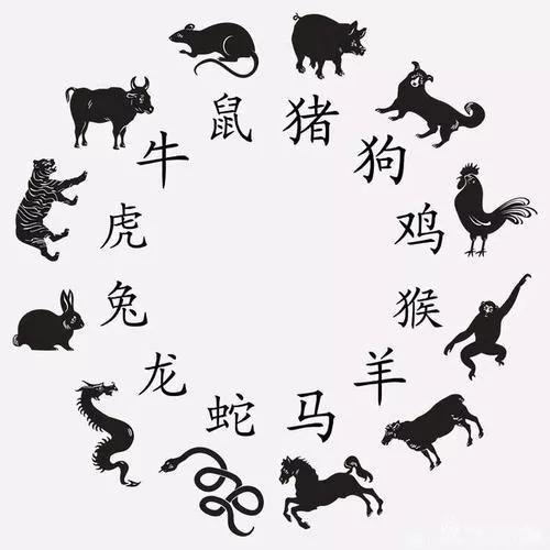 生肖排首位身高一米一兔前虎气凶一二便不同什么数字生肖，全面释义、时代解答解释落实